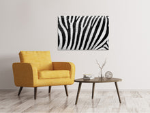 Load image into Gallery viewer, Canvas print Strip of the zebra