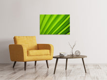 Load image into Gallery viewer, Canvas print Palm stripes 2