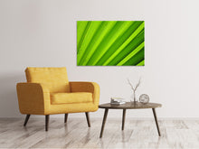 Load image into Gallery viewer, Canvas print Palm stripes 2