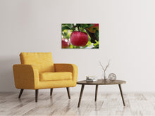 Load image into Gallery viewer, Canvas print Apple in XXL
