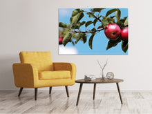 Load image into Gallery viewer, Canvas print Apple on the tree