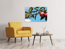 Load image into Gallery viewer, Canvas print Apple on the tree