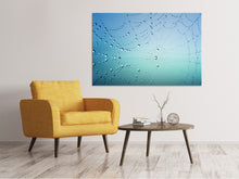 Load image into Gallery viewer, Canvas print Cobweb in morning dew