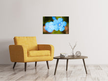 Load image into Gallery viewer, Canvas print Blue flower with morning dew