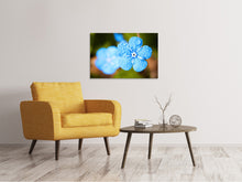 Load image into Gallery viewer, Canvas print Blue flower with morning dew