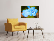 Load image into Gallery viewer, Canvas print Blue flower with morning dew