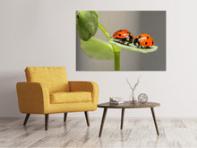 Load image into Gallery viewer, Canvas print 2 ladybirds