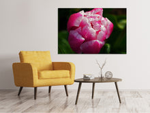 Load image into Gallery viewer, Canvas print Tulip with morning dew in XL