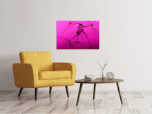 Load image into Gallery viewer, Canvas print Dandelion in pink