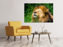 Load image into Gallery viewer, Canvas print Sleeping lion