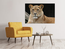 Load image into Gallery viewer, Canvas print Proud lioness