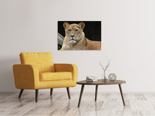Load image into Gallery viewer, Canvas print Proud lioness