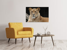 Load image into Gallery viewer, Canvas print Proud lioness