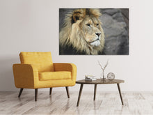 Load image into Gallery viewer, Canvas print Lion head XL