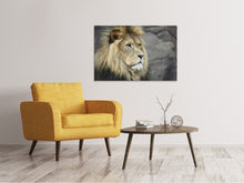 Load image into Gallery viewer, Canvas print Lion head XL