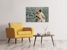 Load image into Gallery viewer, Canvas print Magnificent lioness