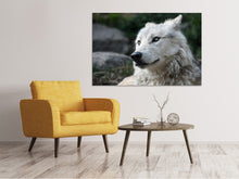 Load image into Gallery viewer, Canvas print The lonely wolf