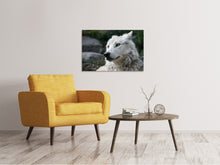 Load image into Gallery viewer, Canvas print The lonely wolf