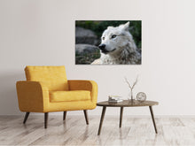 Load image into Gallery viewer, Canvas print The lonely wolf