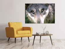 Load image into Gallery viewer, Canvas print The Wolf's look