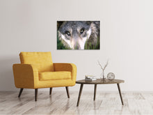 Load image into Gallery viewer, Canvas print The Wolf's look