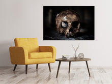 Load image into Gallery viewer, Canvas print The skull