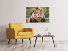 Load image into Gallery viewer, Canvas print The king of animals