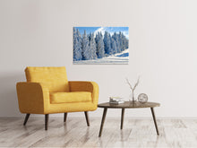 Load image into Gallery viewer, Canvas print Beautiful winter landscape