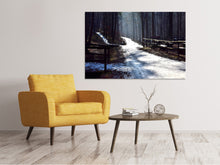 Load image into Gallery viewer, Canvas print A path in the snow