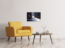 Load image into Gallery viewer, Canvas print A path in the snow
