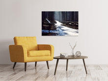 Load image into Gallery viewer, Canvas print A path in the snow