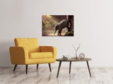 Load image into Gallery viewer, Canvas print The elephant baby