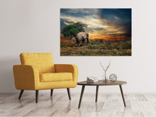 Load image into Gallery viewer, Canvas print The elephant in the sunset