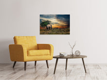 Load image into Gallery viewer, Canvas print The elephant in the sunset