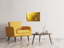 Load image into Gallery viewer, Canvas print Globe XXL