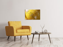 Load image into Gallery viewer, Canvas print Globe XXL