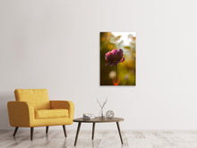Load image into Gallery viewer, Canvas print Dark tulips beauty