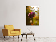 Load image into Gallery viewer, Canvas print Dark tulips beauty