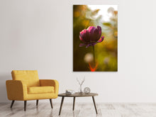Load image into Gallery viewer, Canvas print Dark tulips beauty