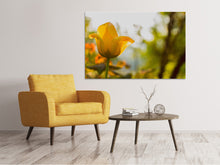 Load image into Gallery viewer, Canvas print Yellow tulip in the nature