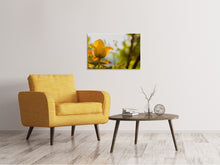 Load image into Gallery viewer, Canvas print Yellow tulip in the nature