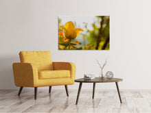 Load image into Gallery viewer, Canvas print Yellow tulip in the nature