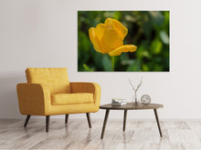 Load image into Gallery viewer, Canvas print Yellow tulip XL