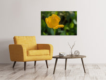 Load image into Gallery viewer, Canvas print Yellow tulip XL