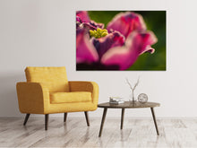 Load image into Gallery viewer, Canvas print Macro tulip in red