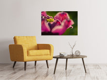 Load image into Gallery viewer, Canvas print Macro tulip in red