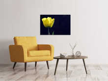 Load image into Gallery viewer, Canvas print Glowing tulip