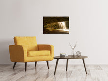 Load image into Gallery viewer, Canvas print Nature shower