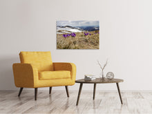 Load image into Gallery viewer, Canvas print Purple crocus