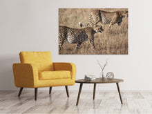 Load image into Gallery viewer, Canvas print 2 leopards